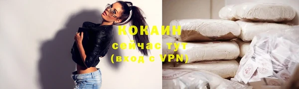 стаф Шали