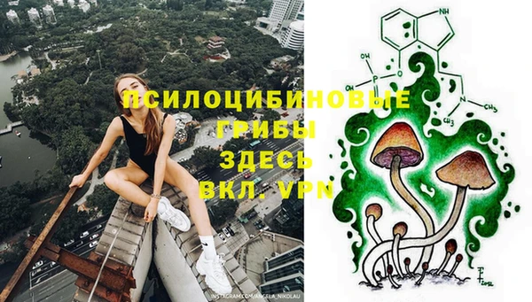 индика Краснотурьинск