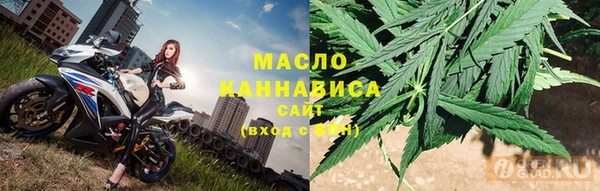 индика Краснотурьинск