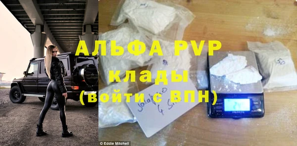 индика Краснотурьинск