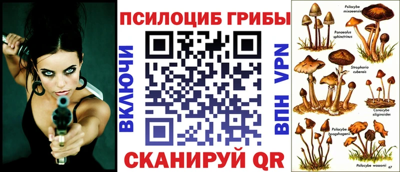 дарнет шоп  Артём  Галлюциногенные грибы Psilocybine cubensis 
